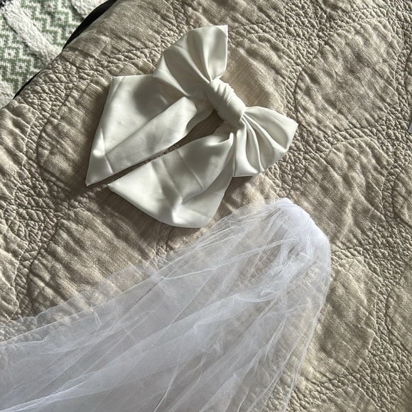 Bachelorette accessories (hair bow and veil) - Picture 1 of 5